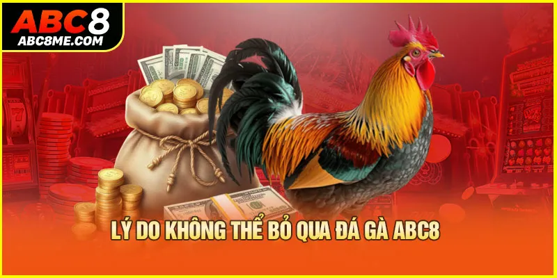 Lý do không thể bỏ qua đá gà ABC8